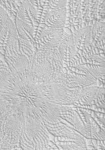 Pizzo bianco intricato da Maira Ribena