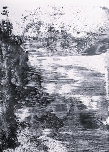 Riflesso monocromatico sul fiume
