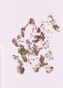 Delicate impronte botaniche da Maira Ribena