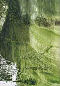 Flusso verde biologico da Maira Ribena