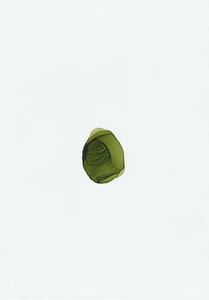 Fluido verde biologico da Maira Ribena