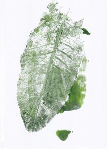Stampa con foglie in stile organico da Maira Ribena