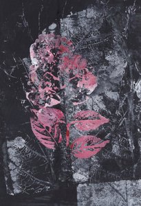 Fioritura rosa materica