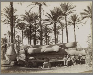 Statua colossale di Ramses II a Menfi da Maison Bonfils