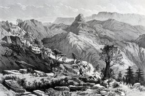In marcia vicino a Dongolo, inciso da James Ferguson, 1868 da Major A.G.F. Hogg