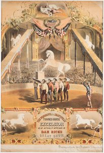 Il meraviglioso e bellissimo cavallo addestrato Excelsior, c.1840