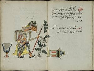 Wukon Jawa, MS 41 p.32, immagine 16, 1830 da Malay Malay