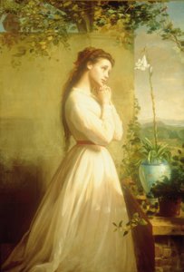 Il fiore spezzato da Manuel Ocaranza