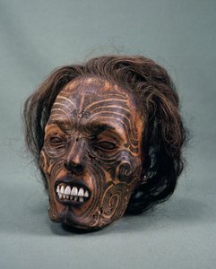 Testa di capo tribù, tatuata e mummificata, civiltà Maori da Maori Maori