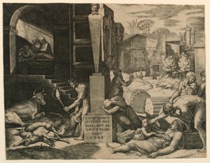 Il Morbetto da Marc Antonio Raimondi