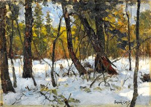 Bosco in inverno