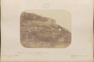 Tagliato nel terreno cretaceo, Olinda