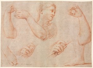Studio di una giovane donna che suona un tamburello, e studi di un braccio, mani e piedi..., c. 1711 da Marcantonio Franceschini