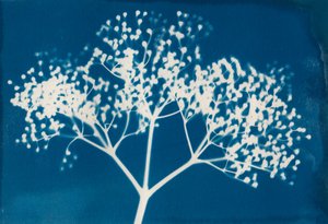 Lettere, 2014 (stampa xilografica su carta) da Marco Campedelli