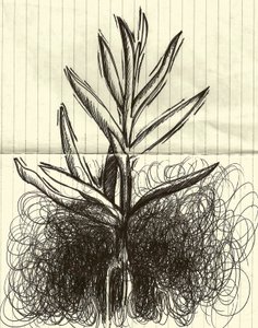 Pianta, 2014 (inchiostro su carta) da Marco Campedelli