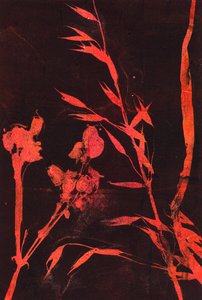 Foglie rosse, 2024 (monotipo) da Marco Campedelli
