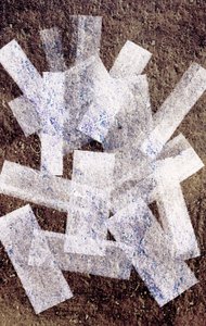Senza titolo, 2014 (rotoli di inchiostro su carta) da Marco Campedelli