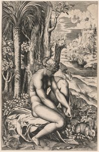 Venere ferita da una spina di rosa