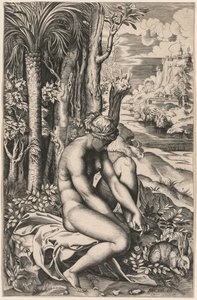 Venere ferita da una spina di rosa, c. 1516 da Marco Dente
