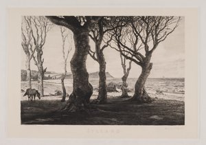 Paesaggio dello Jutland da Marcus Bech Fritz