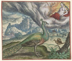 Favola del pavone e dell