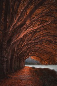  da Marcus Hennen