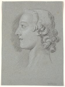 Il collezionista d