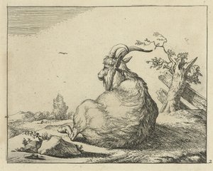 Capra seduta vicino a un albero caduto da Marcus de Bye