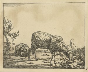 Pecora che pascola e pecora sdraiata vicino a un recinto (serie Schapen) da Marcus de Bye