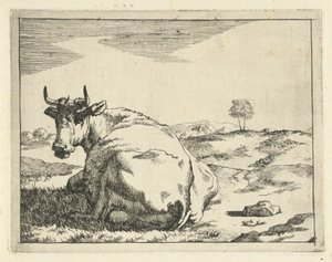 Mucca sdraiata da Marcus de Bye