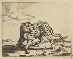 Leopardo, in piedi a sinistra, con la testa a destra (Leopardi) da Marcus de Bye