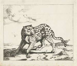 Leopardo, in piedi a sinistra, testa a destra (Leopardi) da Marcus de Bye