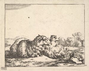 Pecore, da una serie di 16 piatti, 1664 da Marcus de Bye