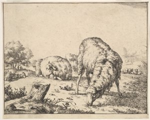 Pecora, da una serie di 16 piatti, 1664 da Marcus de Bye