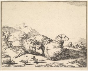 Pecore, da una serie di 16 piatti, 1664 da Marcus de Bye