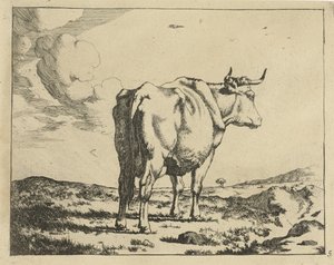 Mucca in piedi vista da dietro (Runderen) da Marcus de Bye
