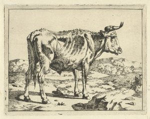 Toro vicino a una roccia (serie: Bovini e maiali) da Marcus de Bye
