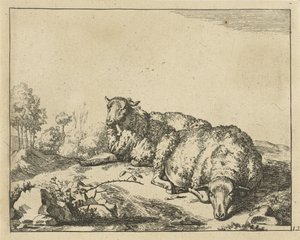 Due pecore sdraiate vicino a un ramo di rovo da Marcus de Bye