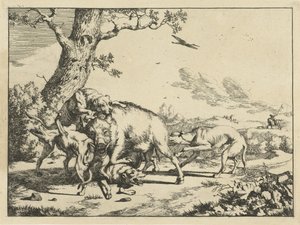Cinghiale attaccato da quattro cani da caccia da Marcus de Bye