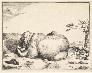 dalla serie The Bears, ca. 1664 da Marcus de Bye