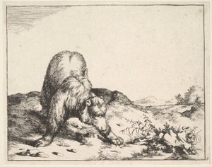 dalla serie Gli Orsi