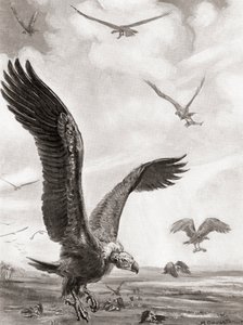 Avvoltoi che portano via le membra degli uccisi in battaglia, da Hutchinson