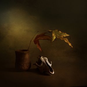 Natura morta d