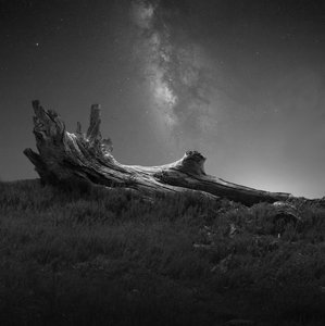 Legno galleggiante sotto la Via Lattea da Margaret Halaby