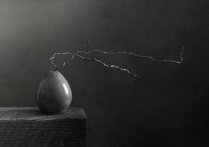 Pera e ramo in bianco e nero