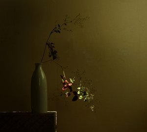 Natura morta botanica di Moody