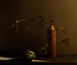 Natura morta rustica con coccinella