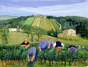 vigneto, ulivi e girasoli