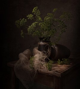 Natura morta botanica in tonalità scure da Margareth Perfoncio