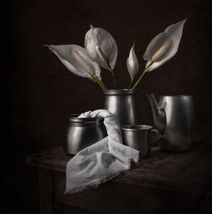 Eleganti gigli della pace da Margareth Perfoncio